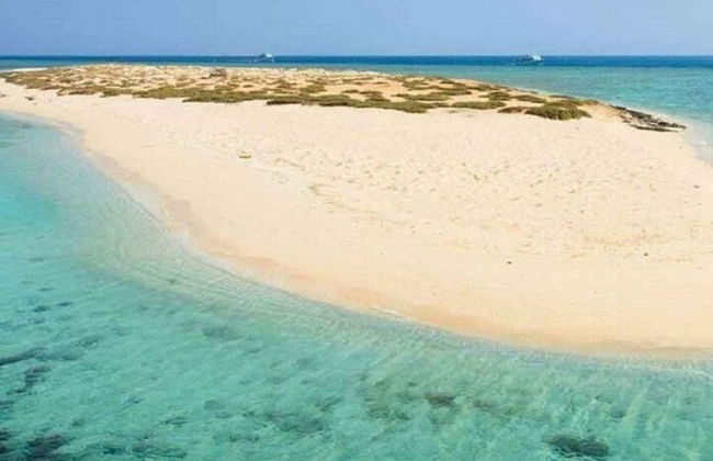 Excursión de snorkel de día completo a las islas Hamata y Qulaan - Marsa Alam - Foto 1