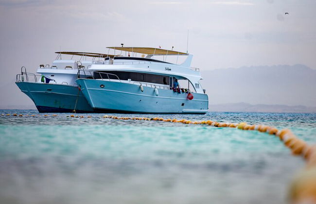Excursión de snorkel de día completo a las islas Hamata y Qulaan - Marsa Alam - Foto 4