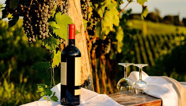 Desde Bolonia: experiencia de vino Chianti con almuerzo. - Foto 4