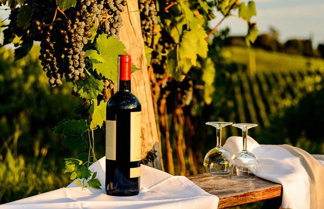 Desde Bolonia: experiencia de vino Chianti con almuerzo. - Foto 4