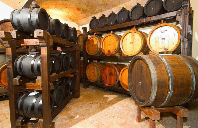 Balsamic Vinegar Experience with Private Transfer - Foto 1