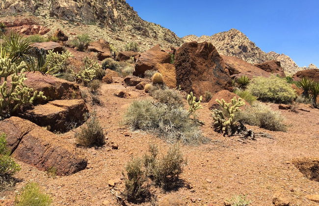 Las Vegas Desert Shooting Practice - Photo 7