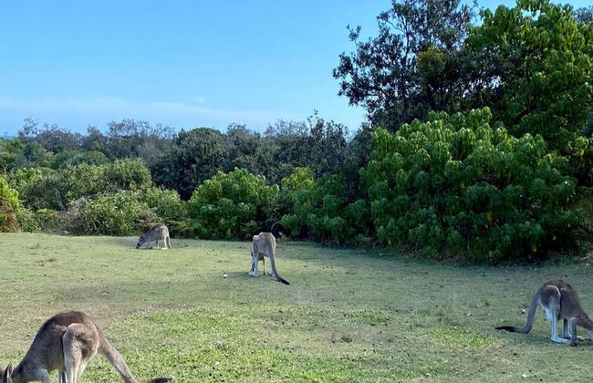 Île North Stradbroke et coucher de soleil - Excursion d’une journée en petit groupe - Photo 7