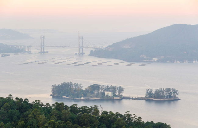 Excursión a la isla de San Simón en barco - Foto 1