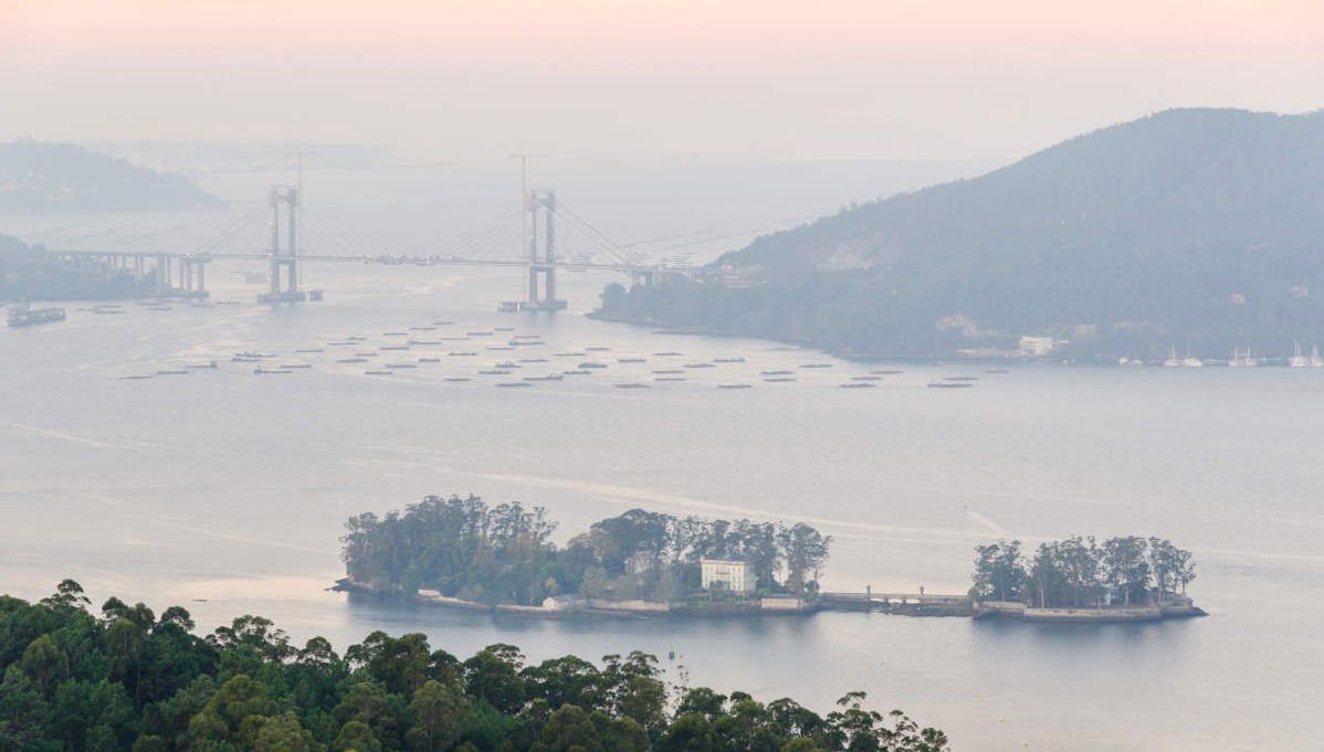 Excursión a la isla de San Simón en barco - Foto 1