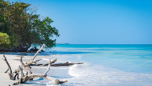 Excursión a Negril + Paseo en catamarán - Foto 2