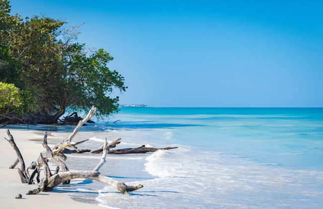 Excursión a Negril + Paseo en catamarán - Foto 2