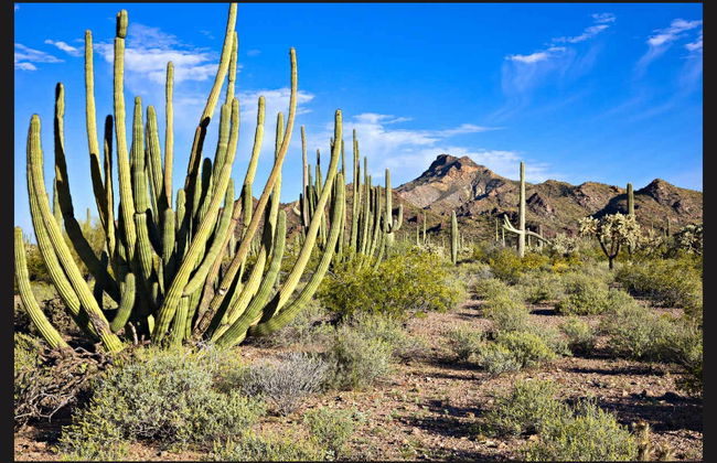 Route 66 & Grand Canyon Tour - Photo 5