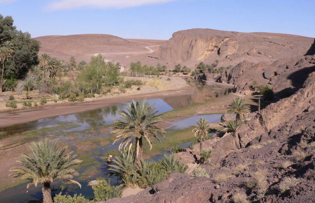 Private Excursions from Ouarzazate - Photo 6