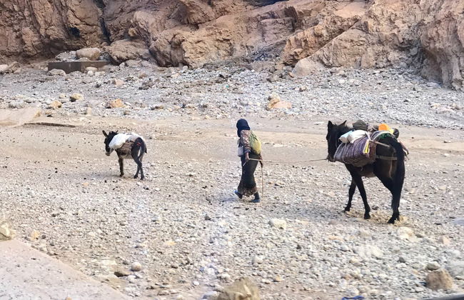 Excursión privada desde Ouarzazate - Foto 4