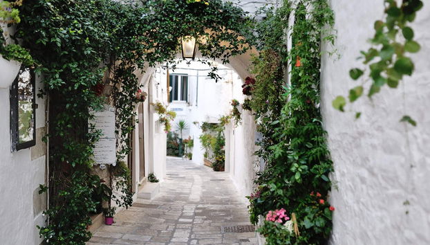 Excursion à Alberobello, Polignano a Mare et Ostuni - Photo 2