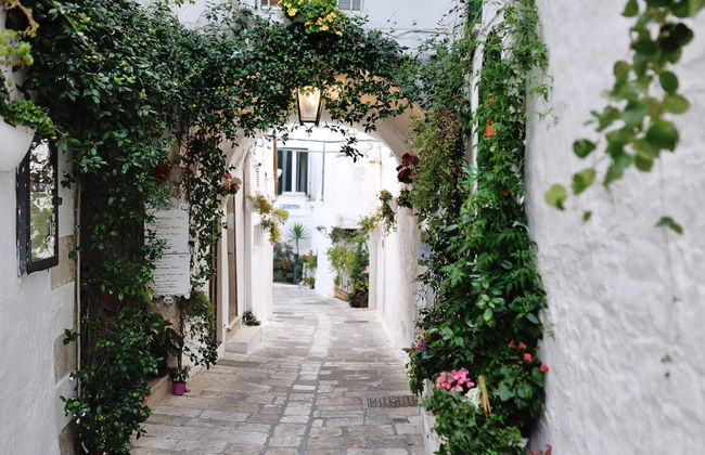 Itria Valley Trip - Photo 4