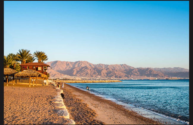 Red Sea Snorkelling Experience - Photo 6