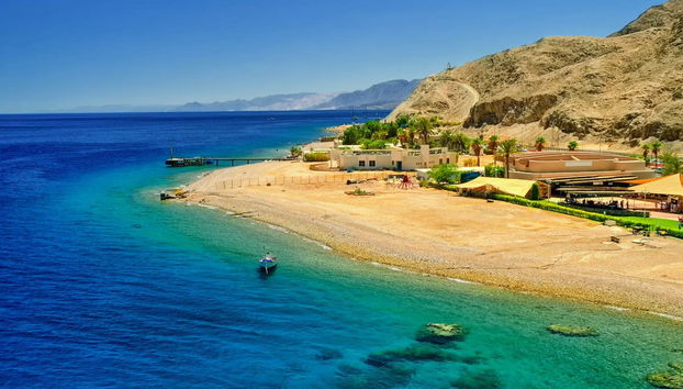 Snorkeling dans la mer Rouge - Photo 2