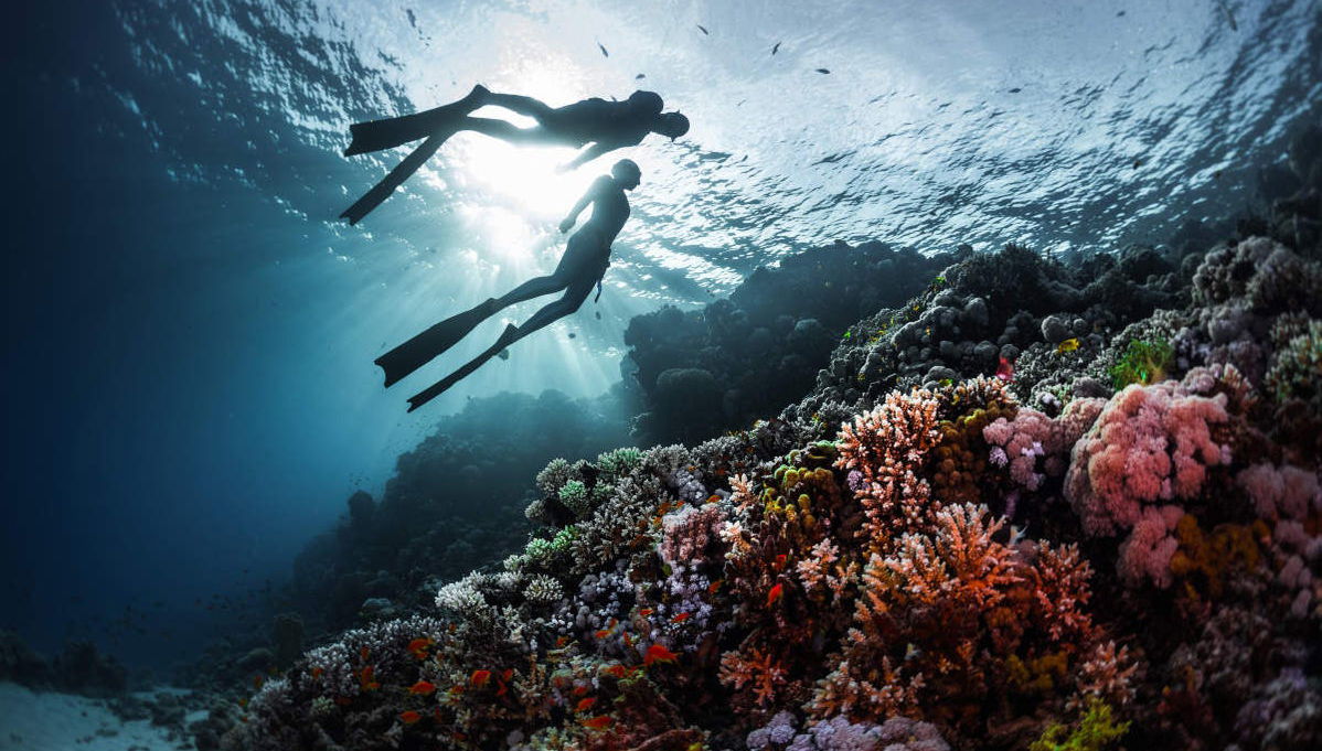 Snorkeling dans la mer Rouge - Photo 1