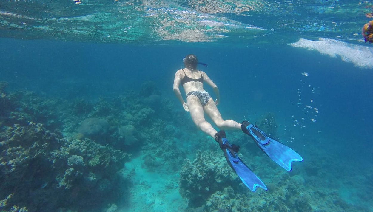 Red Sea Snorkelling Experience - Foto 1