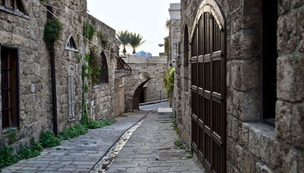 Excursion privée à Byblos + Monastères Saint-Maron et Al-Hardini - Photo 3