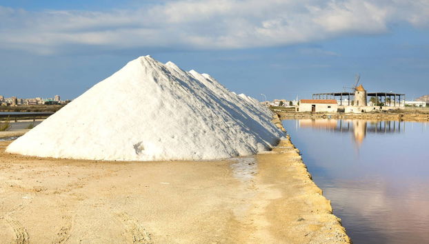 Trapani Salt Flats Tour - Photo 3