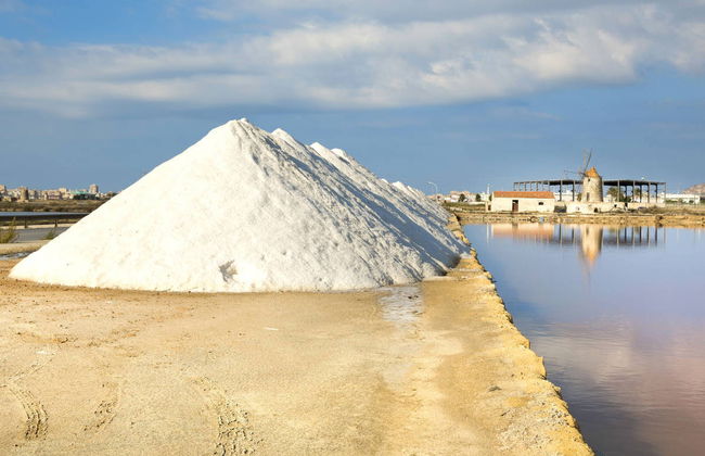 Trapani Salt Flats Tour - Photo 3
