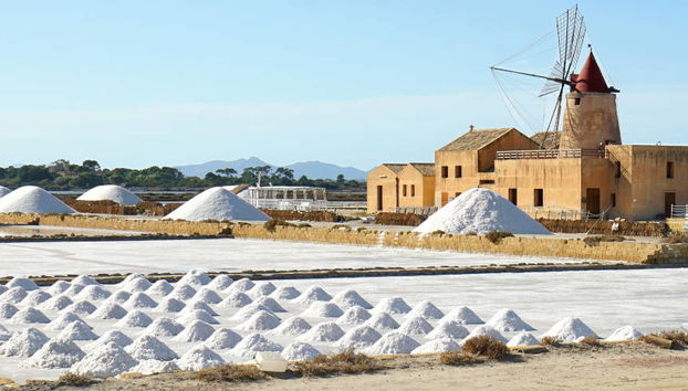 Trapani Salt Flats Tour - Photo 4