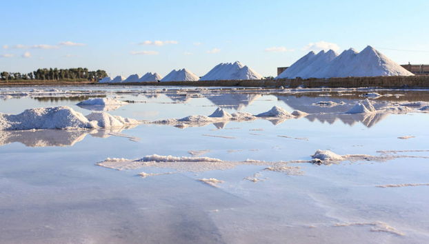 Trapani Salt Flats Tour - Photo 2