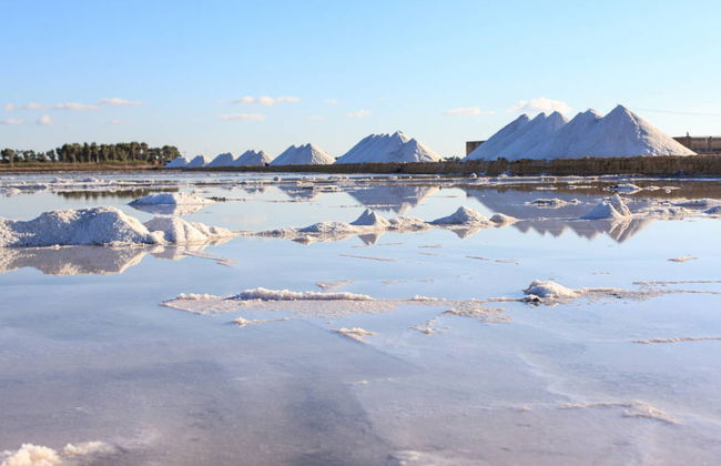 Trapani Salt Flats Tour - Photo 2