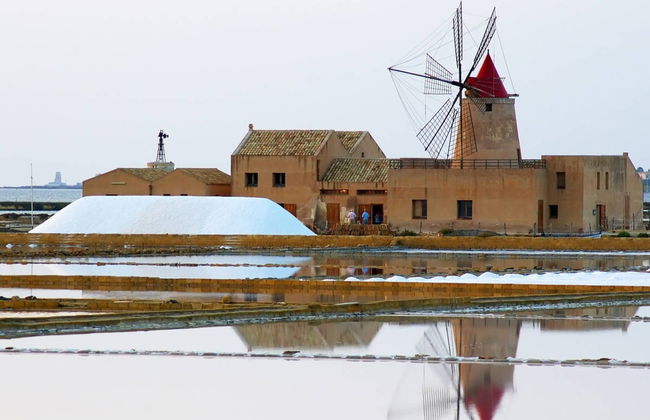 Trapani Salt Flats Tour - Photo 1