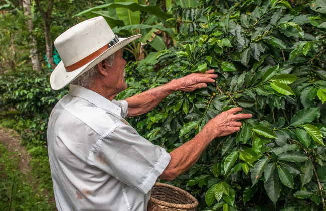 Tour privado por Salento - Foto 5