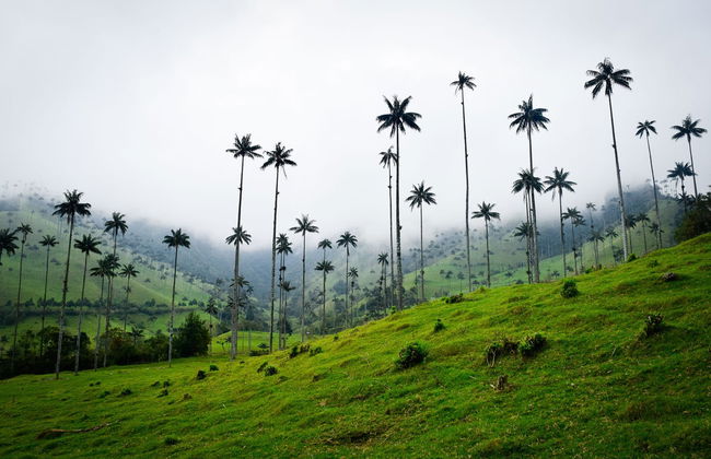 Tour privado por Salento - Foto 3