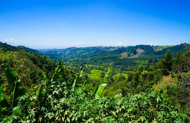 Tour privado por Salento - Foto 2