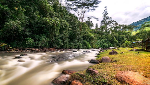 Randonnée vers le canyon de Combeima et Casa Loma - Photo 5