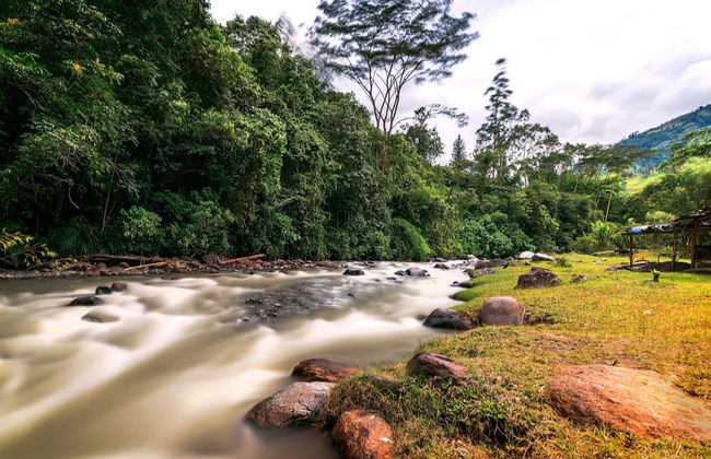 Ibagué Tour with Tickets - Photo 3