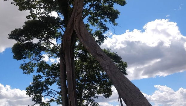Excursão a Chã Preta e Serra Lisa - Foto 4