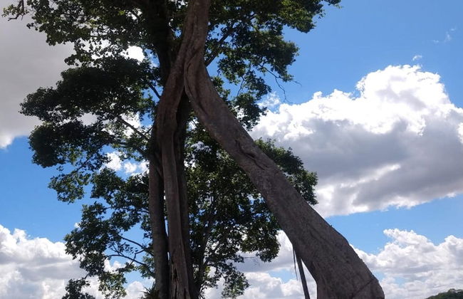 Excursão a Chã Preta e Serra Lisa - Foto 4