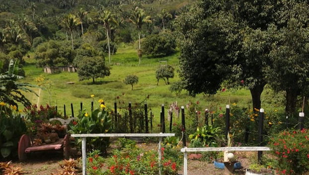 Excursão a Chã Preta e Serra Lisa - Foto 3