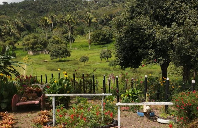 Excursão a Chã Preta e Serra Lisa - Foto 3