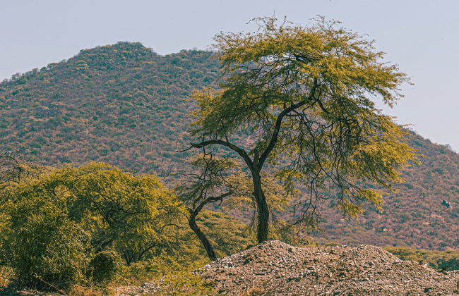 Canchaque Excursion - Foto 3