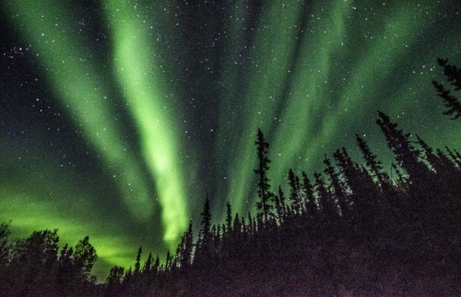 Tour de la aurora boreal y Cruce del Círculo Polar Ártico - Foto 3