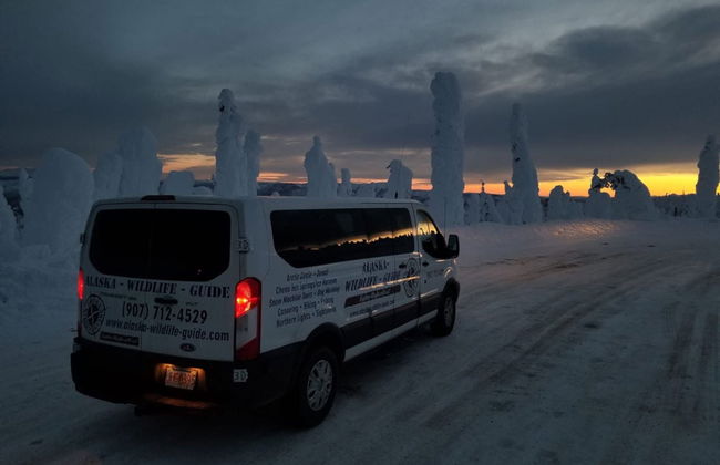 Tour de la aurora boreal y Cruce del Círculo Polar Ártico - Foto 4