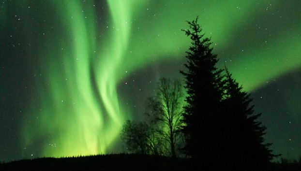 Chena Hot Springs & Northern Lights Tour - Foto 4