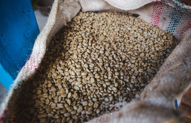 Tour pelas plantações de café de Quindío - Foto 3