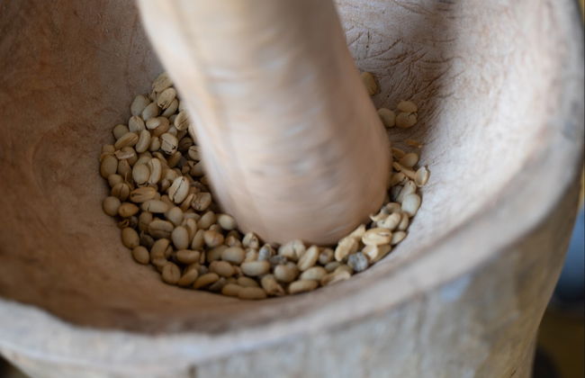 Tour pelas plantações de café de Quindío - Foto 2