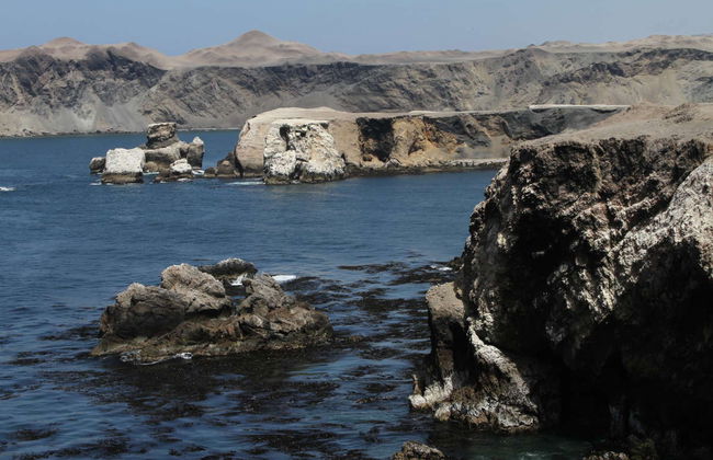 San Fernando Bay Trip + Sandboarding in Nazca - Foto 1