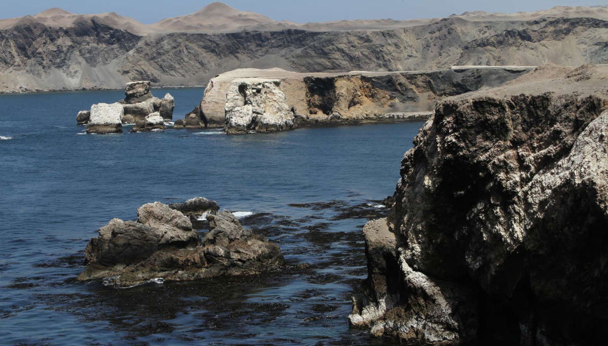 San Fernando Bay Trip + Sandboarding in Nazca - Foto 1