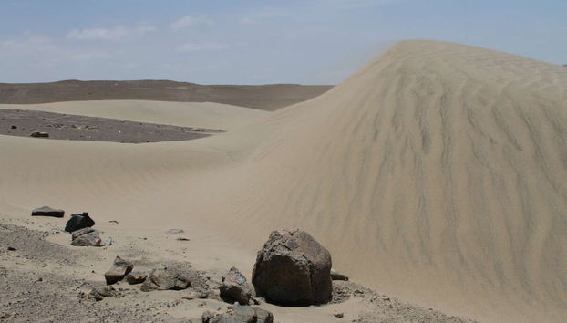 San Fernando Bay Trip + Sandboarding in Nazca - Foto 4