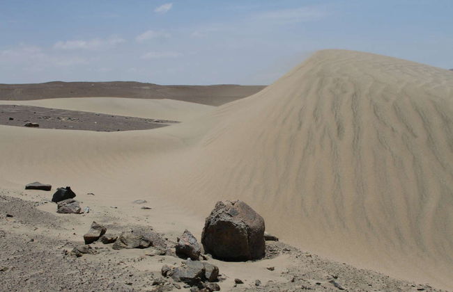 San Fernando Bay Trip + Sandboarding in Nazca - Foto 4