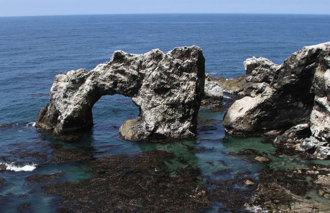 San Fernando Bay Trip + Sandboarding in Nazca - Foto 3