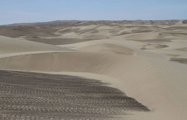 San Fernando Bay Trip + Sandboarding in Nazca - Foto 6