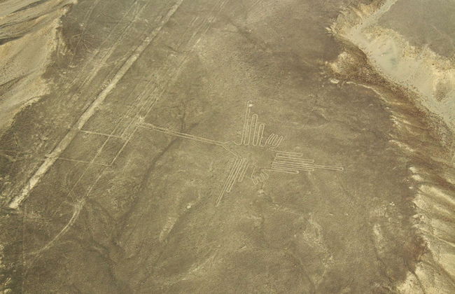 Complete Nazca Tour - Foto 8