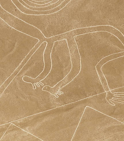 Foto de Tour de Nazca al completo con entradas
